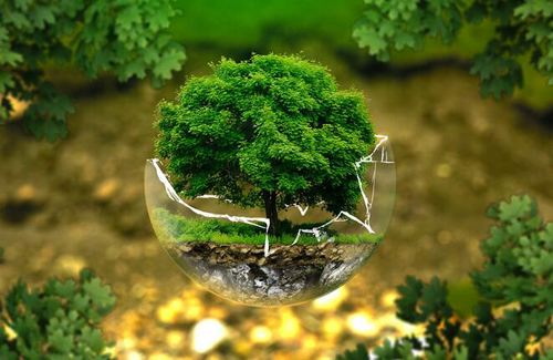 哪些企業需要進行企業環境信息披露